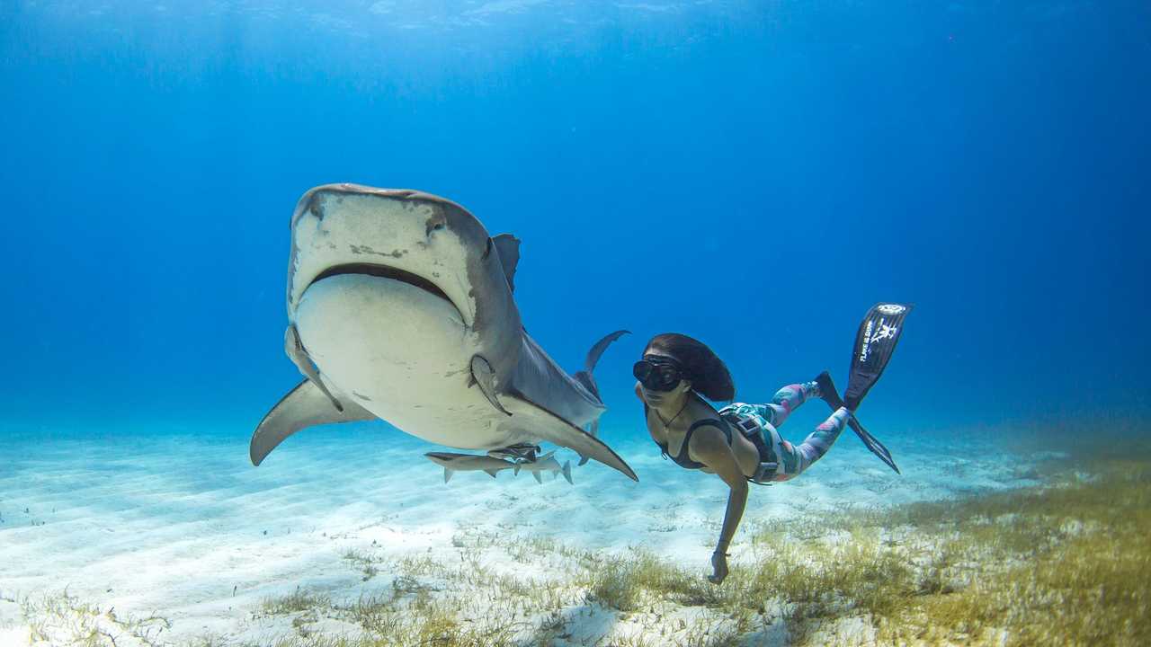 PACKING IT: Byron Bay's 'Shark Girl' Madison Stewart with a friend.