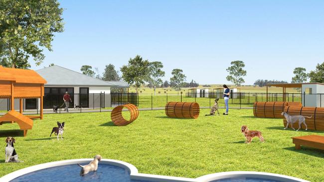 A puppy farm to provide dogs to Kellyville Pets has been approved.