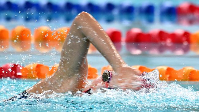 QGSSSA swimming championships Thursday February 29, 2024. Picture, John Gass