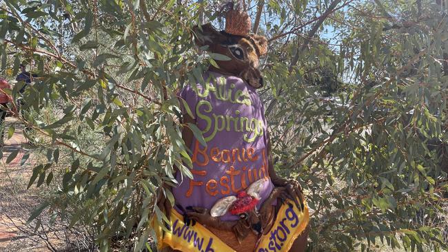 A beanie clad kangaroo greets visitors to the 2023 Alice Springs Beanie Festival. Picture: Laura Hooper.