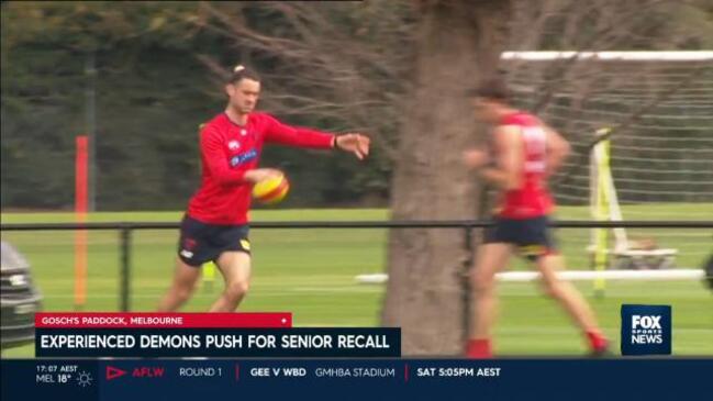 Experienced Demons push for recall