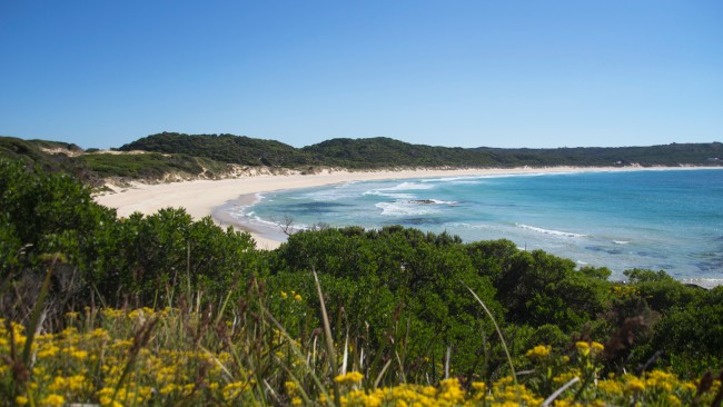 King for a day: King Island, TASGather together seven of your friends for a day of exploration and divine food on King Island. In the middle of the wild Bass Strait, it’s renowned for making the most of its clean air and rich soils to create world-class cheese, fresh seafood and other produce. Sign up for a Taste of King Island flight with Air Adventure and you’ll enjoy a scenic flight over from Melbourne, five-course lunch at Wild Harvest Restaurant and a guided tour of the island’s sights.airadventure.com.au