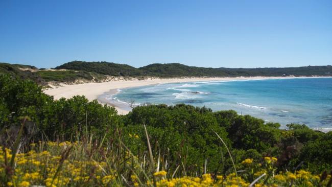 King for a day: King Island, TASGather together seven of your friends for a day of exploration and divine food on King Island. In the middle of the wild Bass Strait, it’s renowned for making the most of its clean air and rich soils to create world-class cheese, fresh seafood and other produce. Sign up for a Taste of King Island flight with Air Adventure and you’ll enjoy a scenic flight over from Melbourne, five-course lunch at Wild Harvest Restaurant and a guided tour of the island’s sights.airadventure.com.au