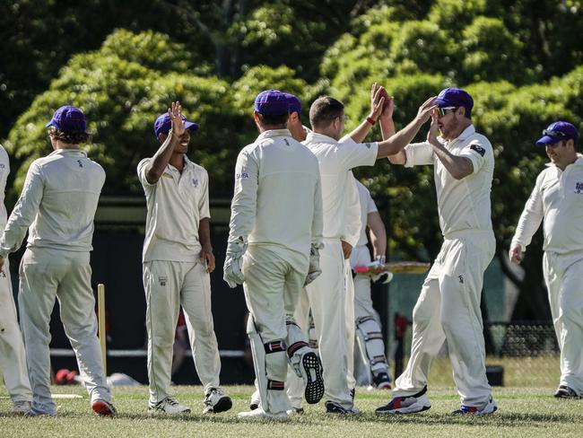 Long Island bowler Matthew Shimell and team mates celebrate. Picture: Valeriu Campan