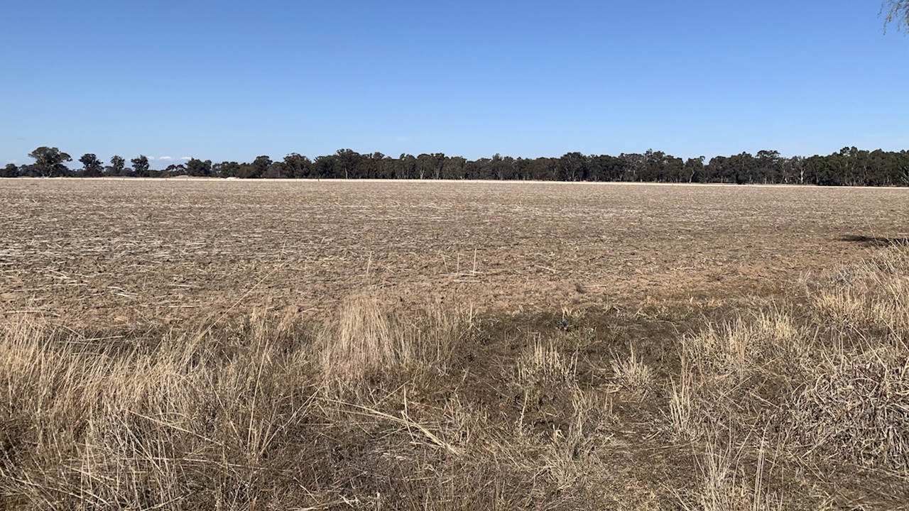 Farmers in Victoria hope for rain