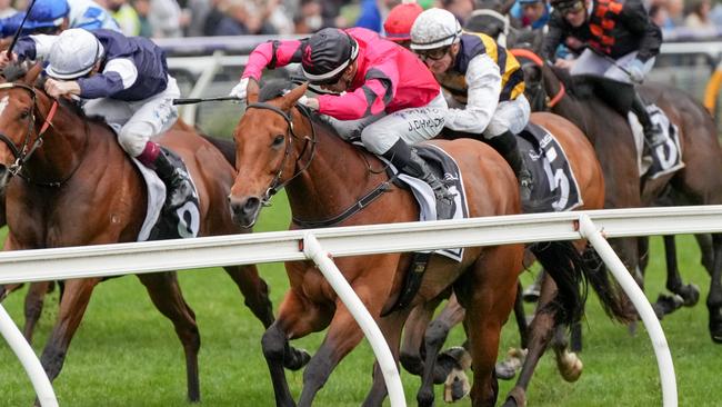 Just Fine (IRE) ridden by Jordan Childs wins the The Lexus Bart Cummings at Flemington Racecourse on October 05, 2024 in Flemington, Australia. (Photo by George Sal/Racing Photos via Getty Images)