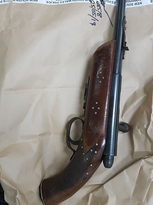 Two of the guns. Picture: NSW Police