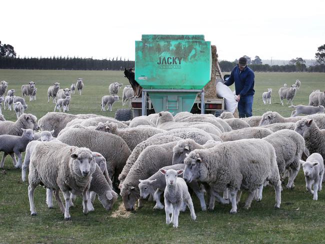 Third-generation farmer Hamilton Gerrand is grappling with a green drought, where not enough water is getting into the subsoil. Picture: David Caird