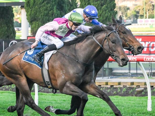 Mornington Glory ridden by Ethan Brown wins the Paramount Liquor Carlyon Stakes at Moonee Valley Racecourse on August 24, 2024 in Moonee Ponds, Australia. (Photo by Reg Ryan/Racing Photos via Getty Images)