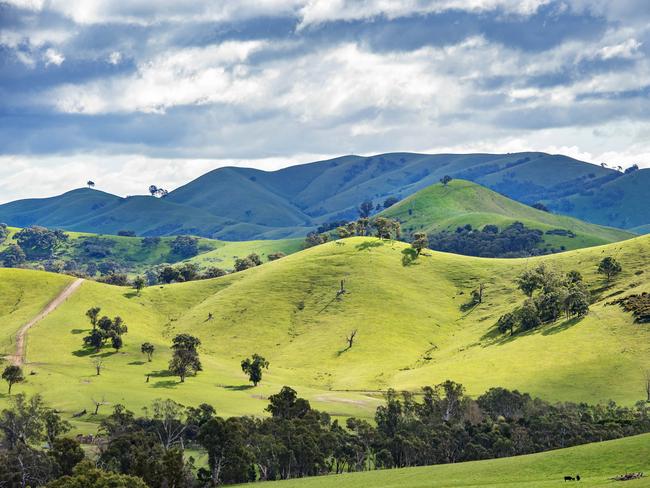 FOCUS: Paringa Livestock at YeaTom and Olivia Lawson run Paringa Livestock.Pictured: Rural landscape at Murrindindi near Yea.PICTURE: ZOE PHILLIPS