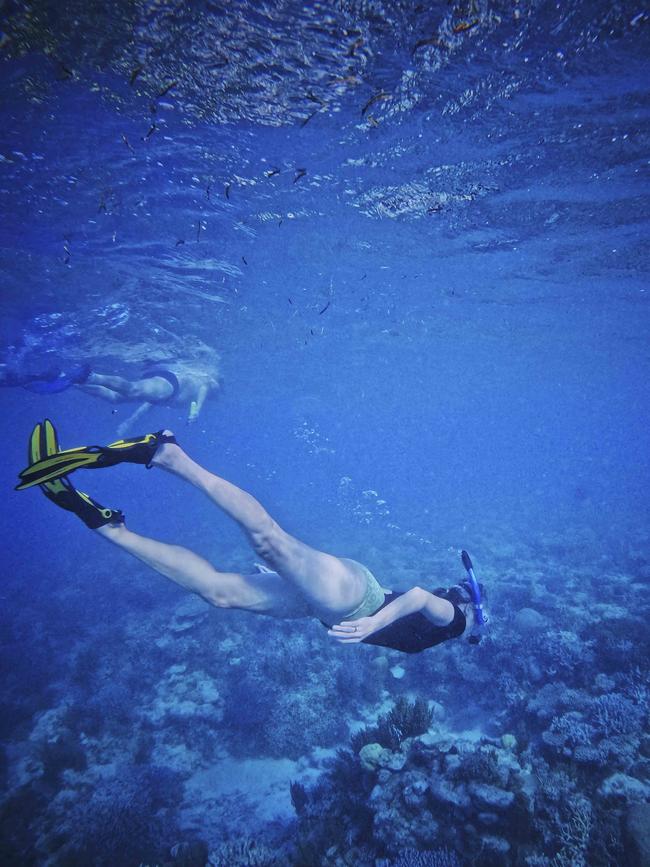 Snorkelling at Ashmore Reef.