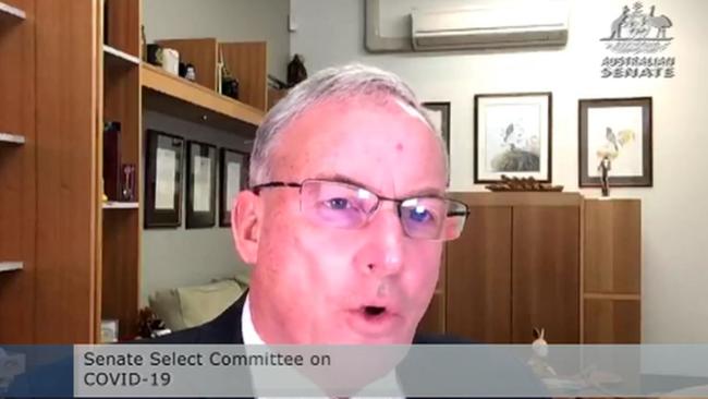 Richard Colbeck fronts the Senate Select Committee on Covid19.