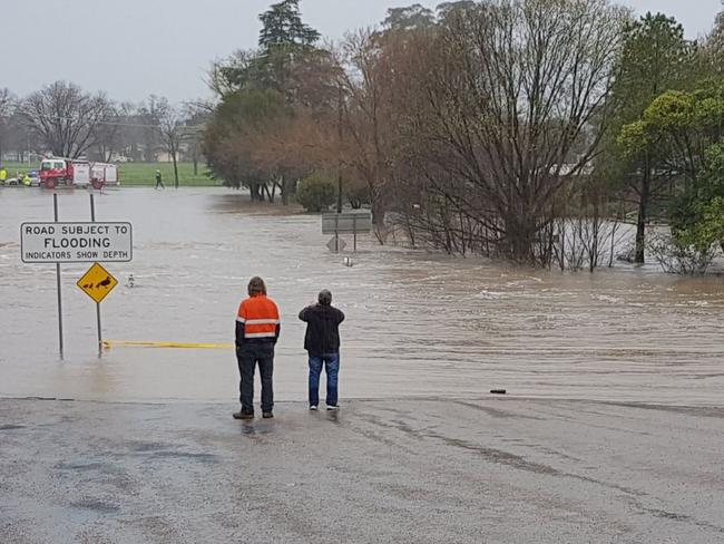 Cootamundra is in the Riverina region of NSW. Picture: Twitter (Naomi Elliott) @naomi_tweets