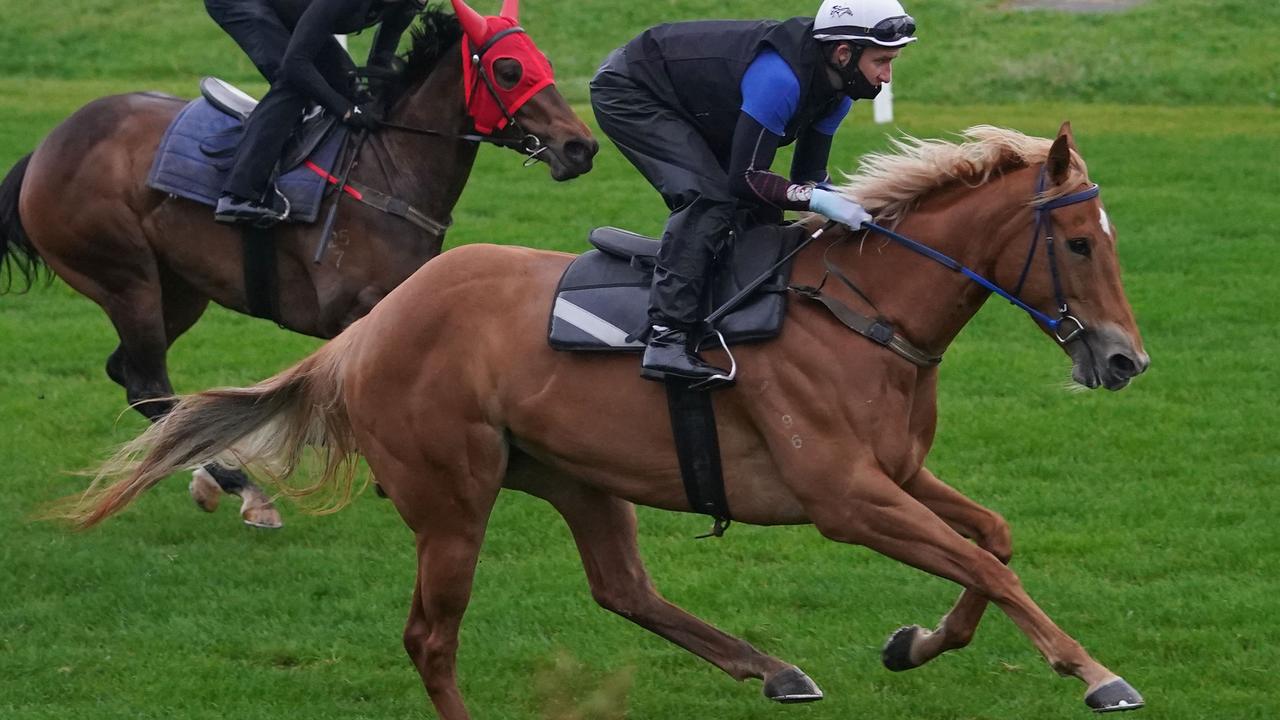 Moonee Valley trackwork