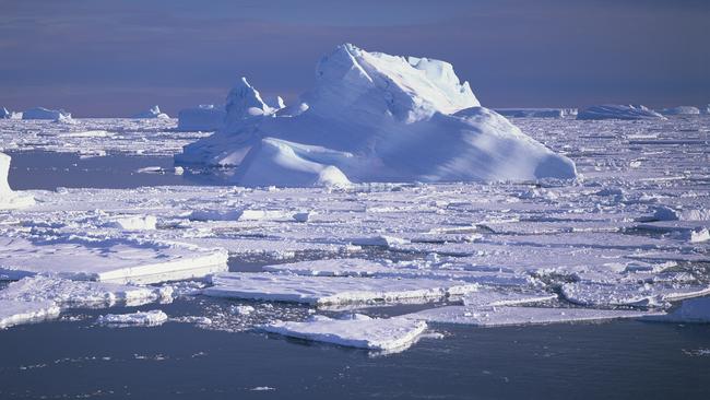 The campaign would push to ban fishing for krill and toothfish and to exclude toothfish boats from the Port of Hobart, an Antarctic gateway. Picture: David Neilson