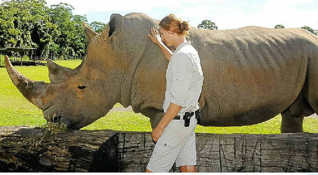 Zoo on alert after rhino deaths | The Courier Mail