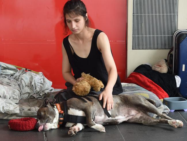 Genuine homeless person Emily with her dog Jessie in Bourke St. Picture: Lawrence Pinder