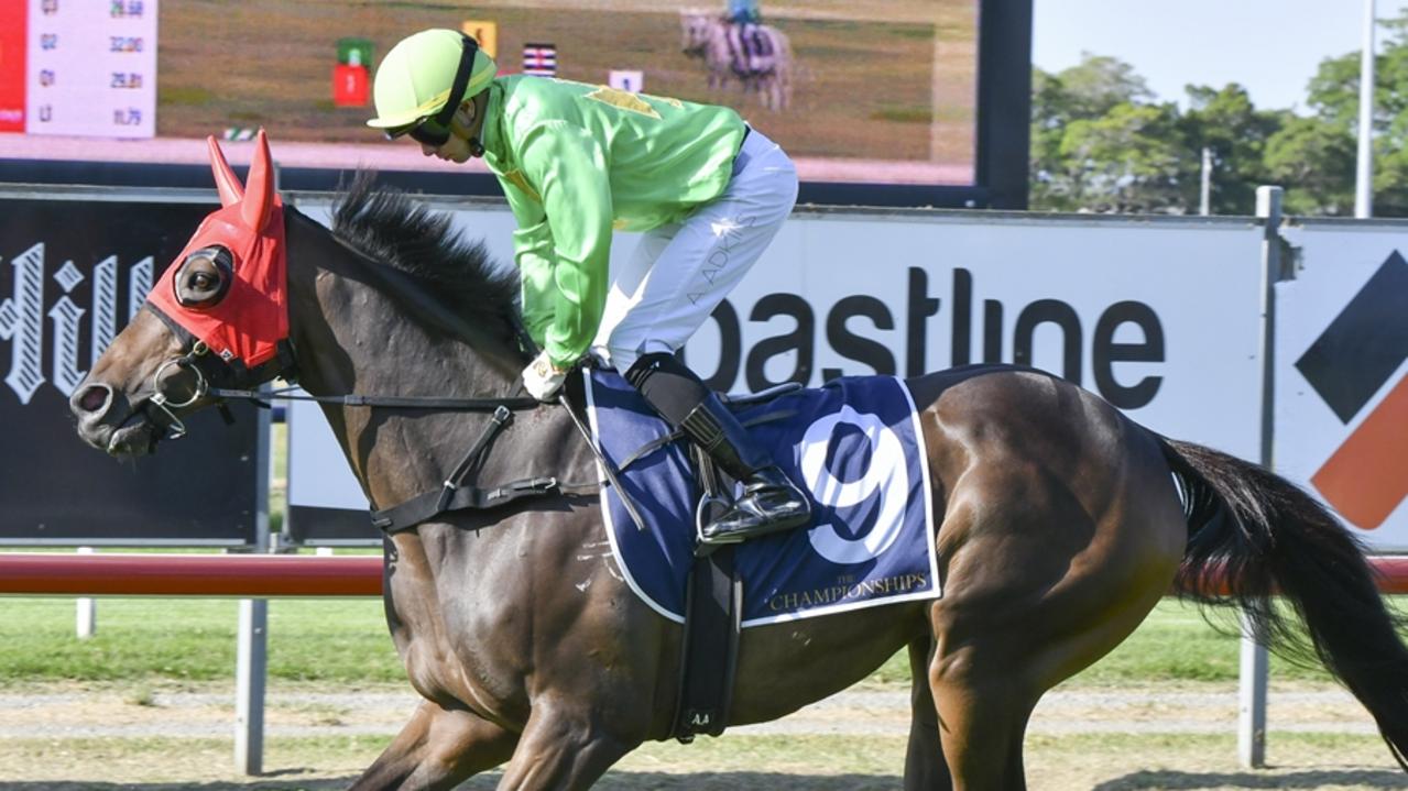 The blinkers go back on Oakfield Prince second-up at Kembla. Picture: Bradley Photos