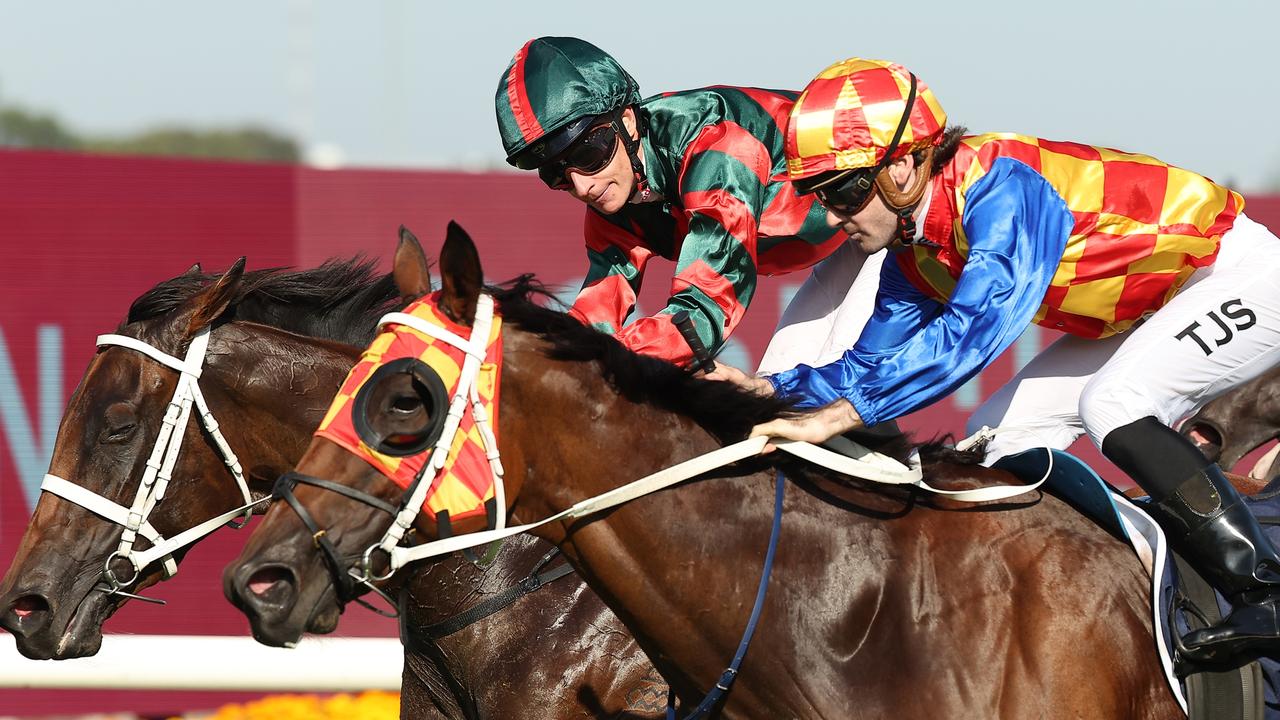 Lady Shenandoah may be sent for a spell after winning the Coolmore Classic. Picture: Getty Images