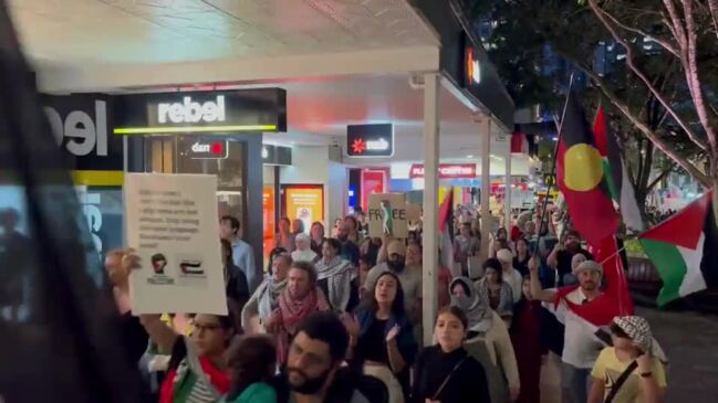 Pro-Palestine Supporters March Through Brisbane CBD | Herald Sun