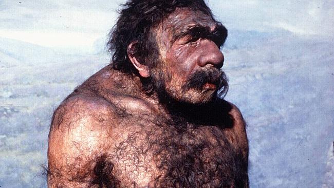 Neanderthal Sex Weakened European Immune Systems The Australian 1096