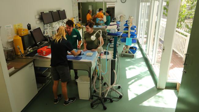 Hospital staff hard at work. Picture Glenn Hampson