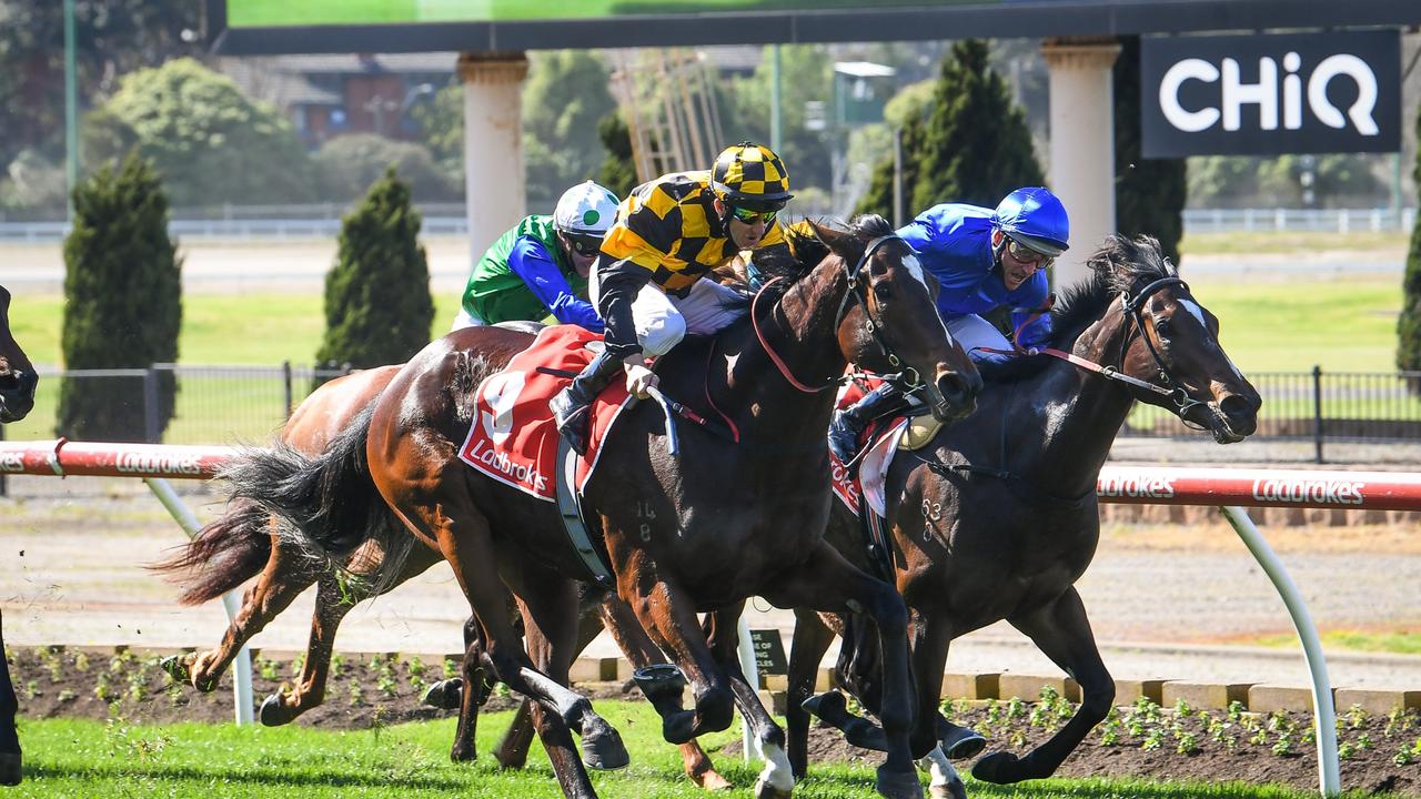 Thousand Guineas Final field | news.com.au — Australia’s leading news site