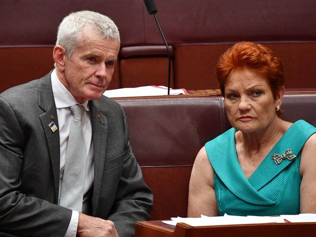 One Nation Senator Malcolm Roberts and One Nation leader Senator Pauline Hanson during a division in the Senate chamber at Parliament House in Canberra, Monday, November 25, 2019. (AAP Image/Mick Tsikas) NO ARCHIVING