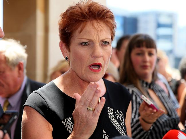 One Nation senator Pauline Hanson goes snorkeling on the 