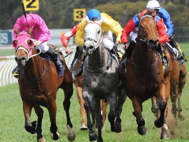 Race 5 - 2:45PM CFMEU MINING HANDICAP (1350 METRES).Winner 'Metallic Crown; ridden by Rory Hutchings.