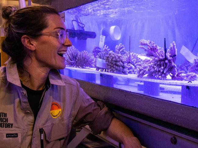 Dr Kate Quigley monitors the coral at the Minderoo Exmouth Research Laboratory. Picture: Carly Keech