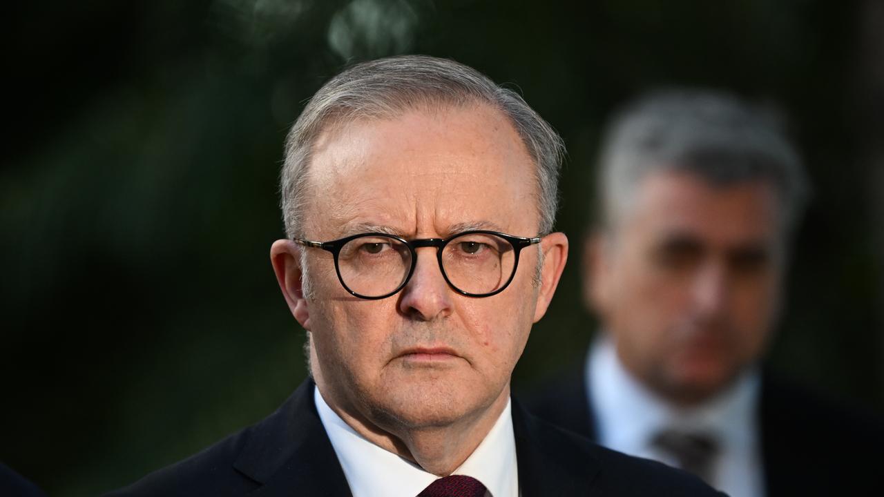 She wants Prime Minister Anthony Albanese to ditch the logo. Picture: Dan Peled / NewsWire
