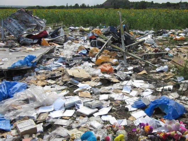 The 'Search Among the Sunflowers' podcast examines the AFP mission to investigate the MH17 disaster. Picture: AFP