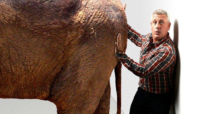 Dicko and the elephant in the room