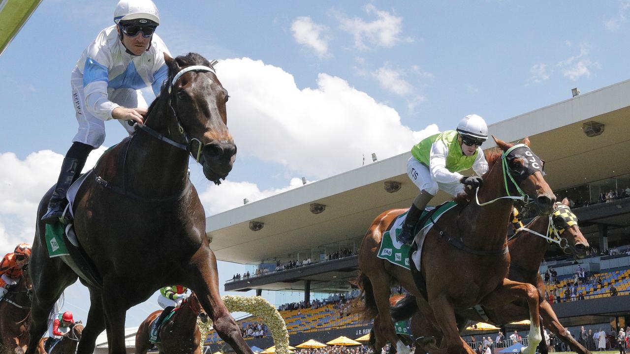 Sizzling Cat (lime green and white) can turn the tables on So Say You (white and light blue) in the TAB Highway. Picture: Getty Images