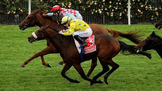 Dunaden (yellow) nudges out Red Cadeaux in the 2011 Melbourne Cup finish.