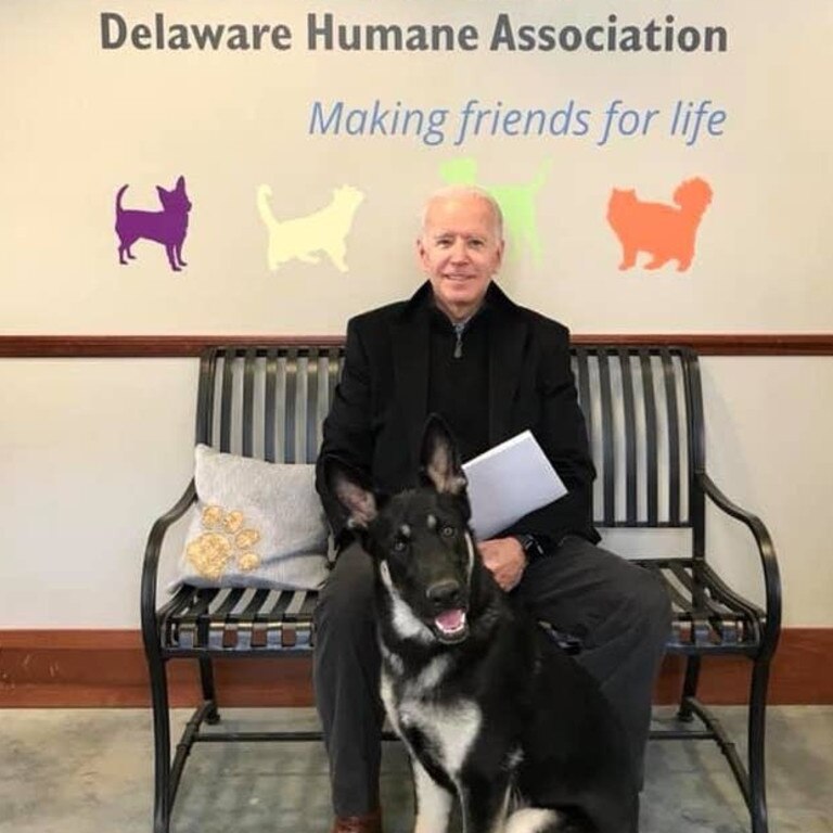 Major was adopted from a shelter in Joe Biden’s home state in 2018.