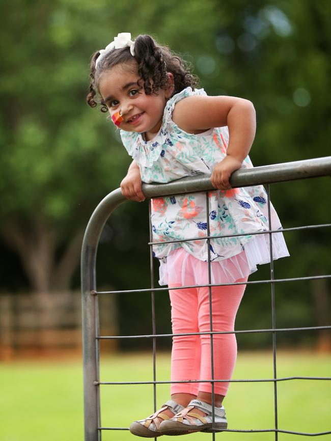 Charlize enjoys playing on a gate at home.