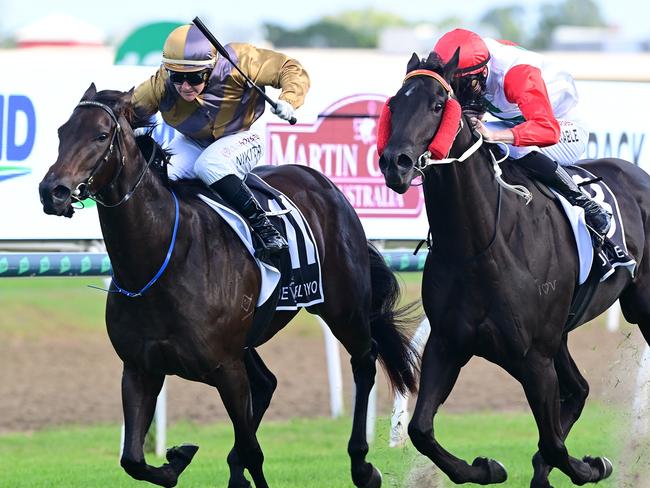 Party For Two wins the $500,000 QTIS Jewel 3YO on the Gold Coast for jockey Nikita Beriman and trainers Matt Hoysted and Steve O'Dea. Picture: Grant Peters, Trackside Photography