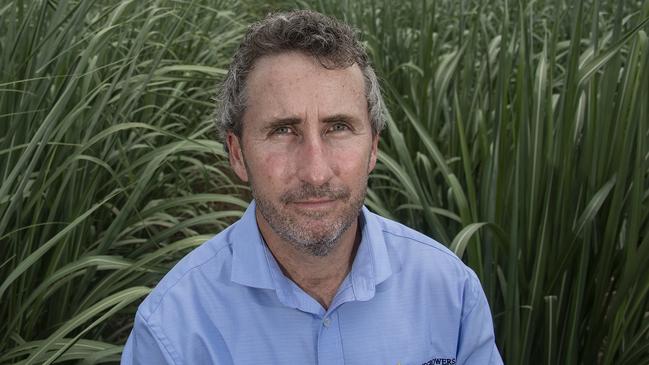 Queensland Canegrowers CEO Dan Galligan said it was a race against time to harvest Mossman growers’ cane sugar. Picture: Brian Cassey.