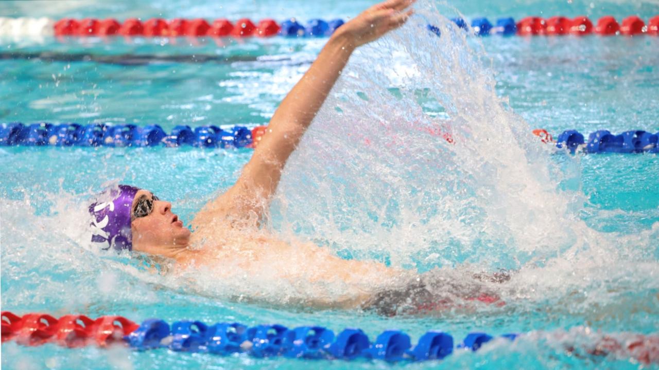 The Swim Academy Brisbane