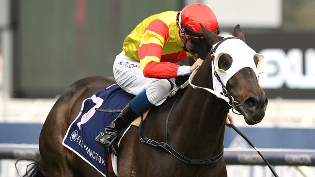 Savaheat continued his winning form at Flemington. Picture: AAP