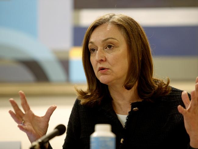 Senator Maria Kovacic complained to the Finance Department about the missing columns. Picture: NewsWire / John Appleyard