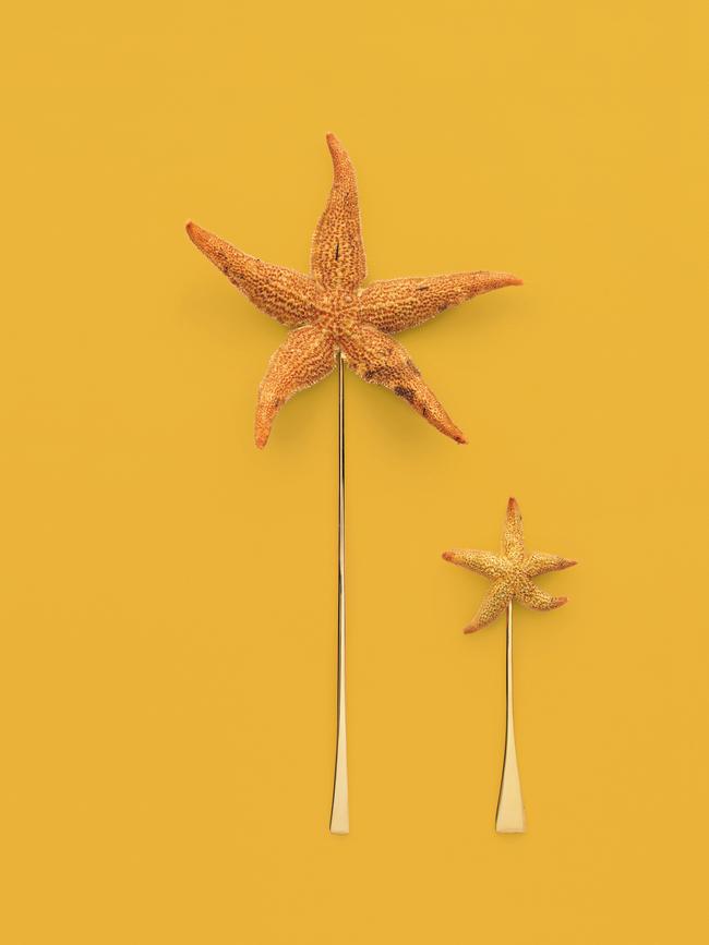 Eat The Problem ... starfish on a stick by Kirsha Kaechele and Vince Trim.