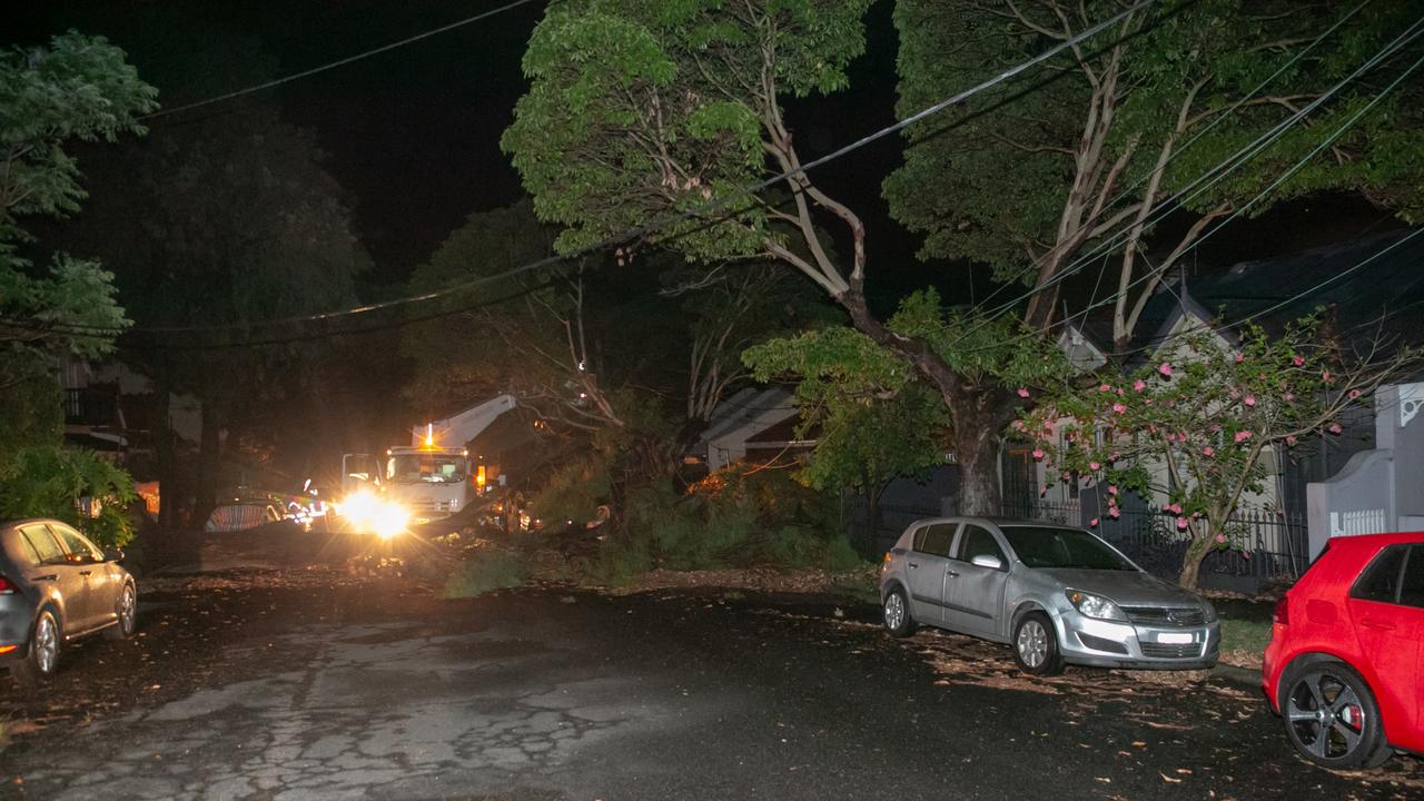 Energy crews work to repair lines and a tree after it fell. Picture: Damian Hofman