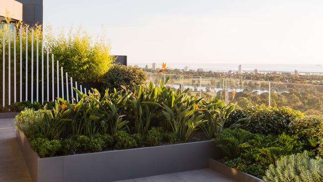 Lush garden beds. Picture: Erik Holt