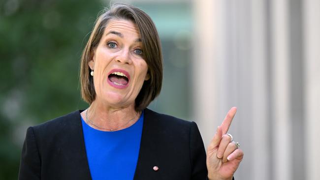 Nationals Senator Perin Davey says the report is worrying. Picture: AAP Image/Lukas Coch