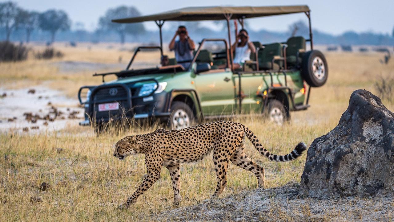 Where to get the ultimate wildlife experience in Zimbabwe