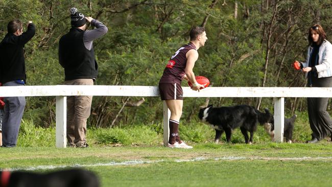 Adrian Del Monte bags another goal from tight on the boundary line. Picture: Stuart Milligan