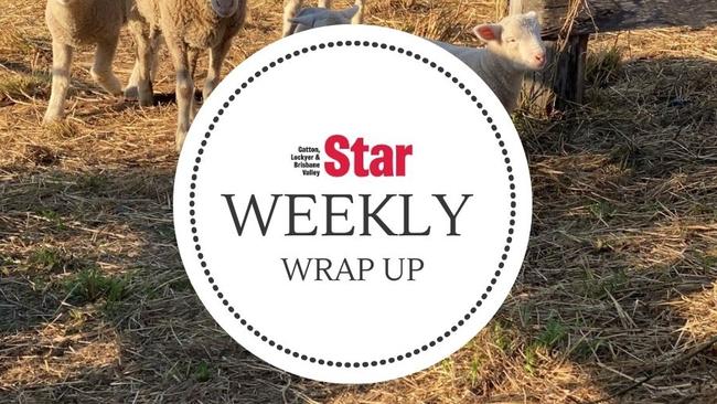 Gatton Star weekly wrap-up.